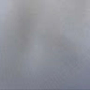 Meet your Posher, Isabella